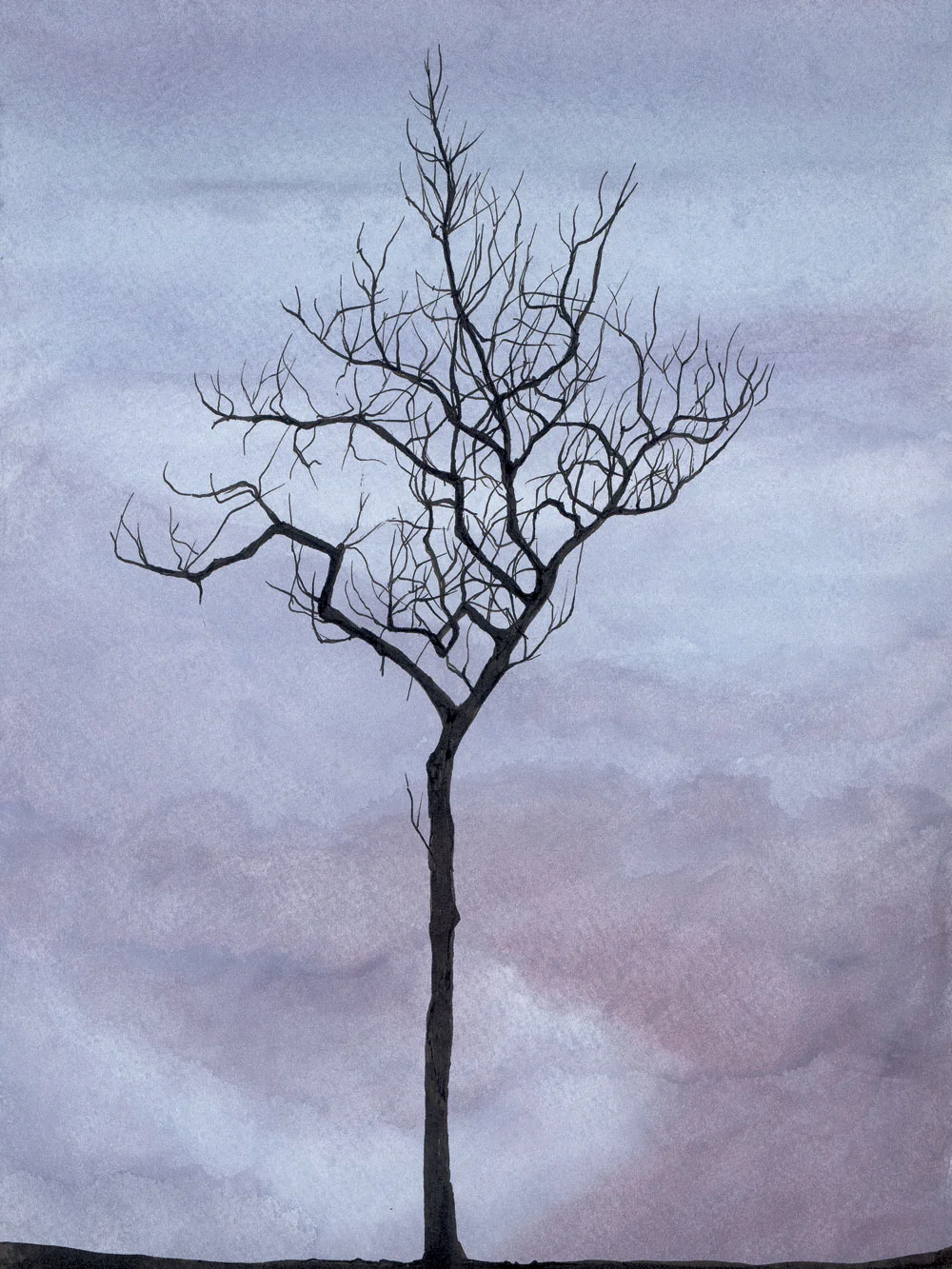 Young Tree