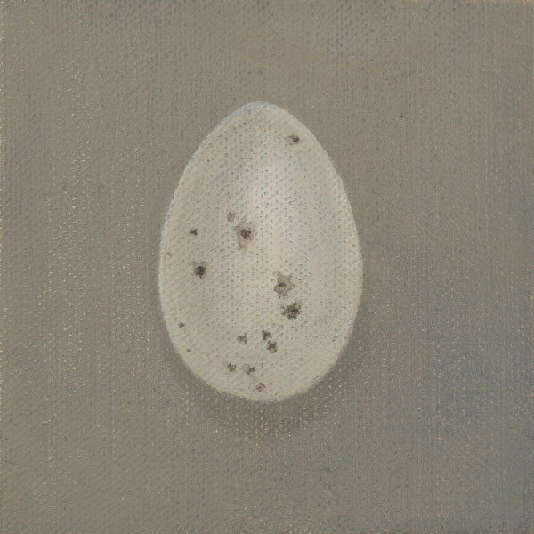 Swallow Egg