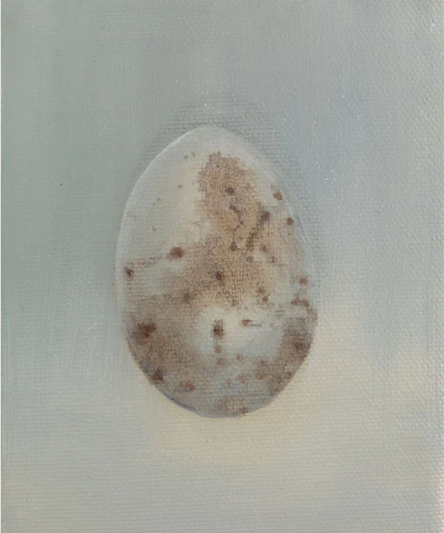 Magpie Egg