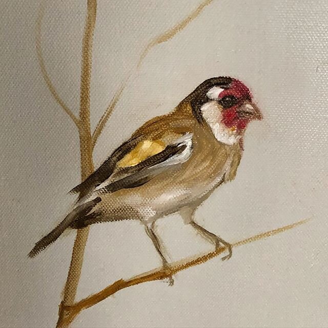 Bit of painting time squeezed in today... added another Goldfinch...
#goldfinch #birds #birdpainting #originaloil #oiloncanvas #artistsoninstagram #artist #notfolkartist #britishartist #interiordesign #artforyourhome