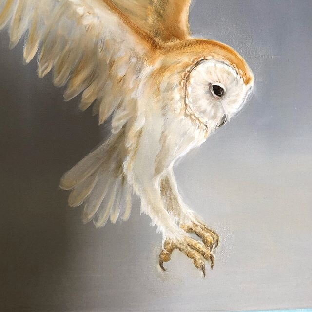 Coming along...
#barnowl #owl #oilpainting #oiloncanvas #originalart #fineart #art #birds #birdart #artist #artistsoninstagram #interiordesign #artforyourhome