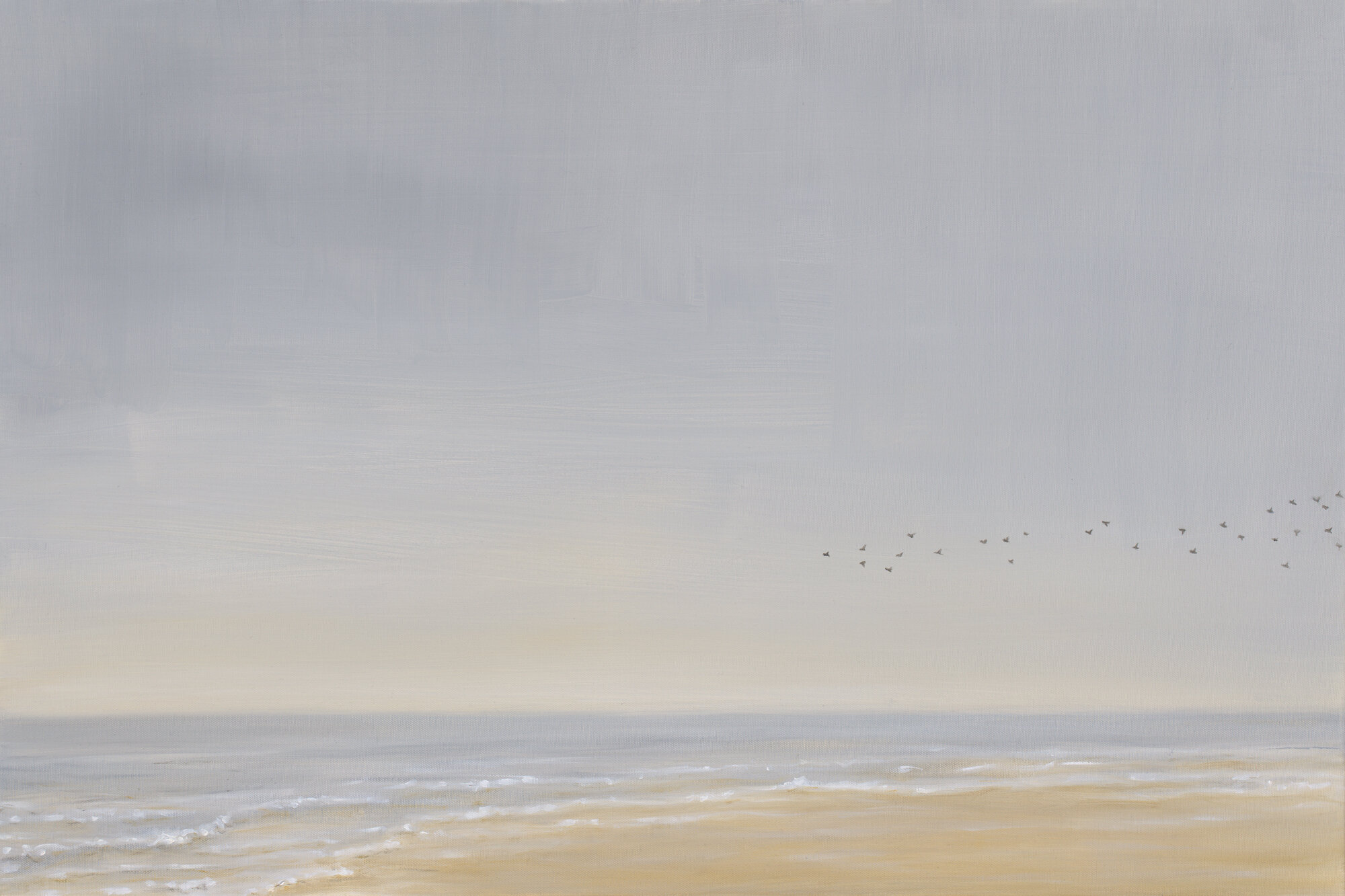 Sand and Sea
