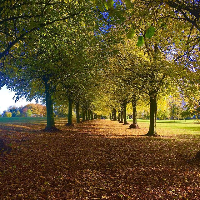 Another gorgeous autumn day in Moira!🍂🍁☀️A new study has shown that spending at least 20mins a day in nature will significantly lower stress hormone levels. This could be in the form of a stroll in a green space, or even sitting in a place that mak