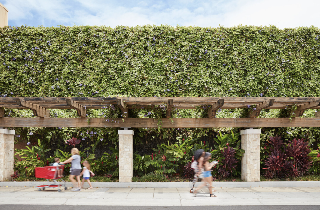 50 Years of MacNaughton:  Building Community Through Our Shopping Centers 