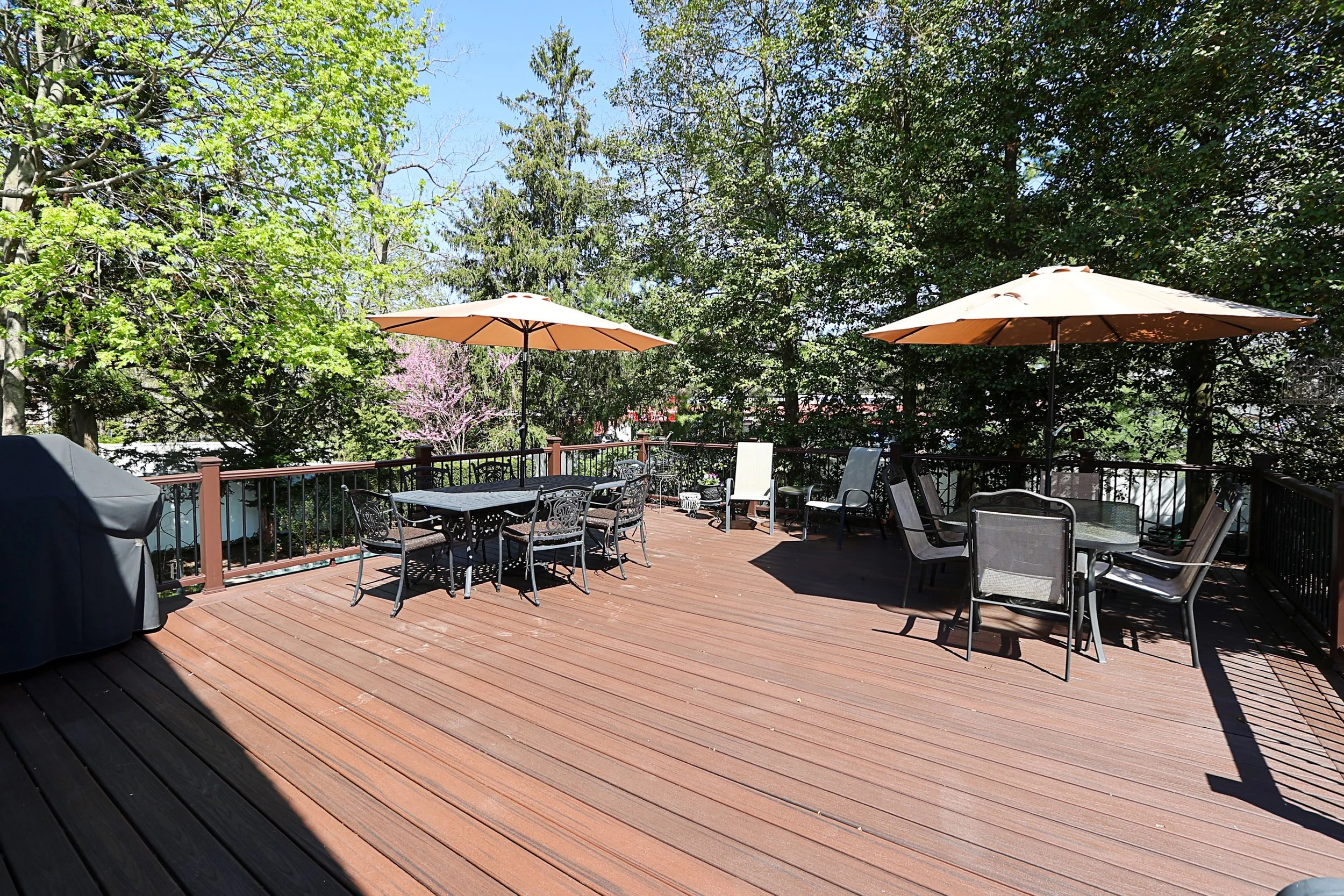 73 Rumford Rd, Kings Park 44.JPG
