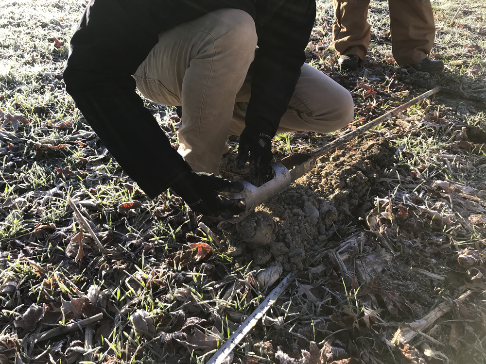 soilSample1000x750.jpg