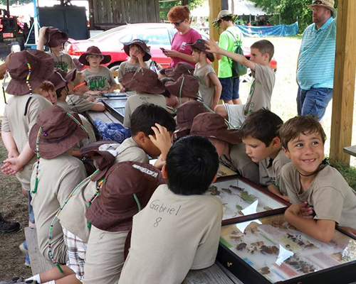cubScouts500x400.jpg