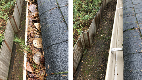 Before &amp; After Gutters