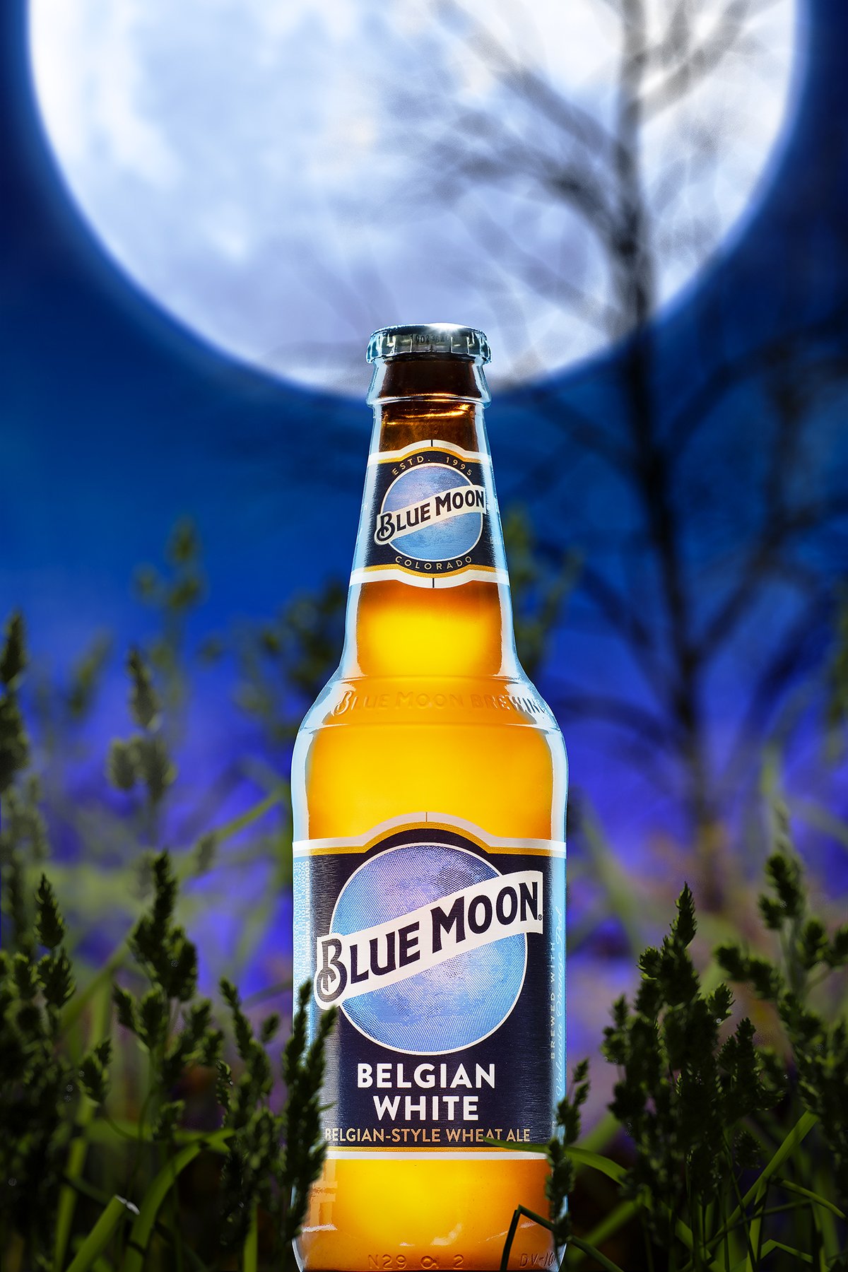 BlueMoon1.jpg