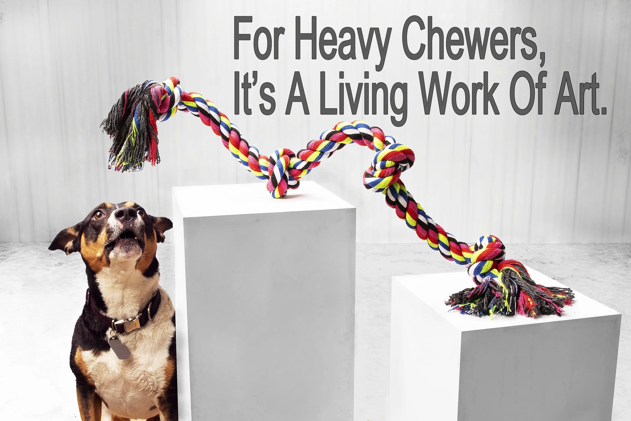 Final snake comp1 after.jpg