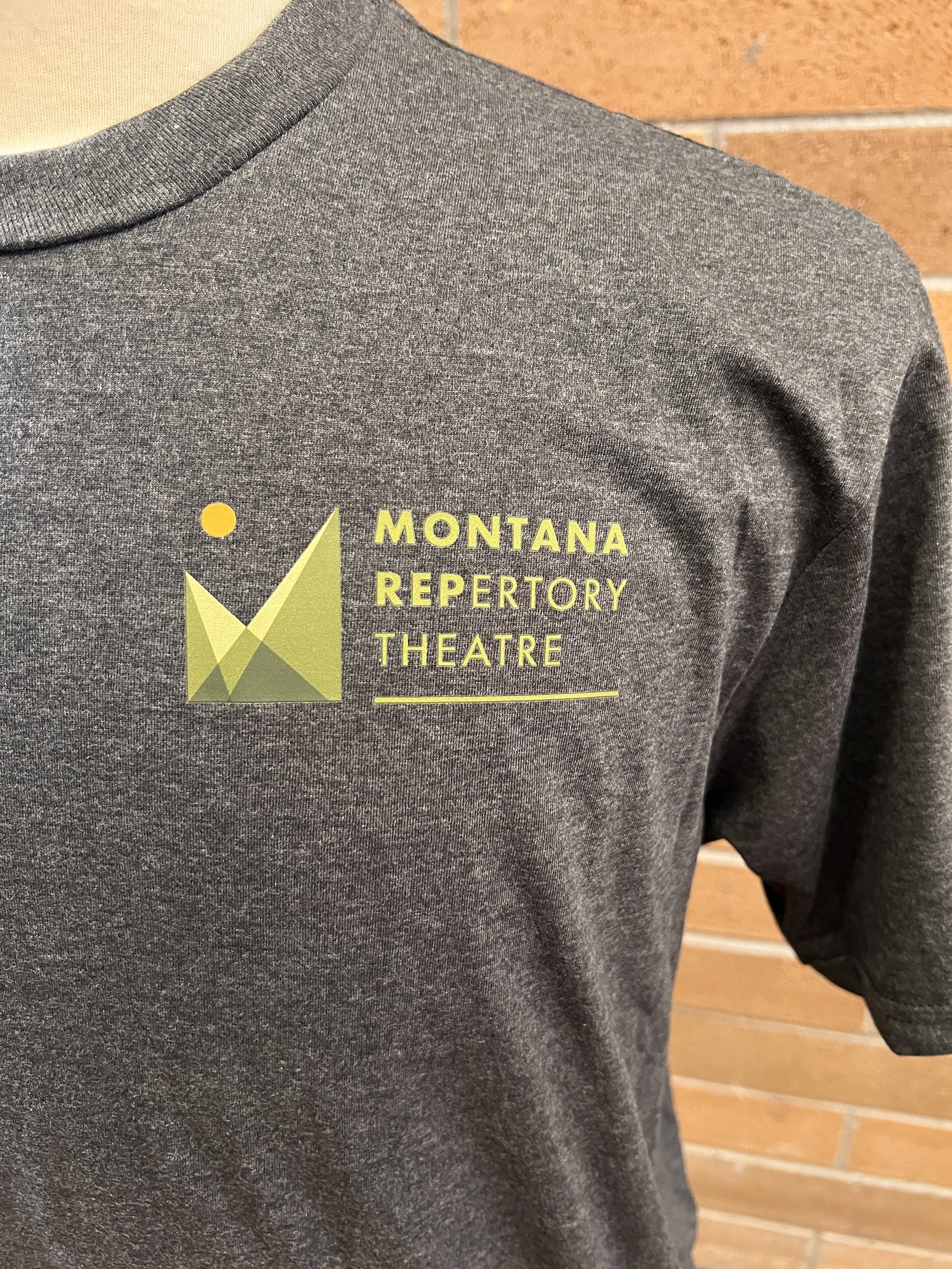 Rep T Shirt Gray Closeup.JPG