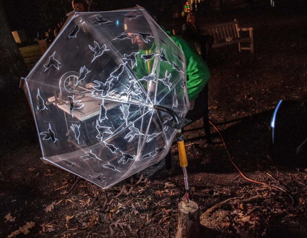 Inlight2015.jpg