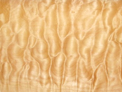 Quilted Maple - lam.