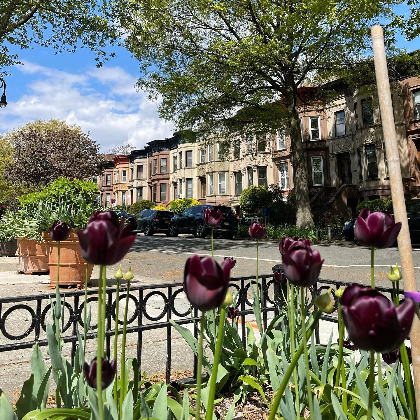 The block showing off