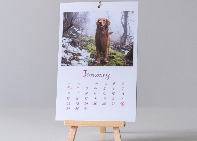 custom designed photo gift calendar