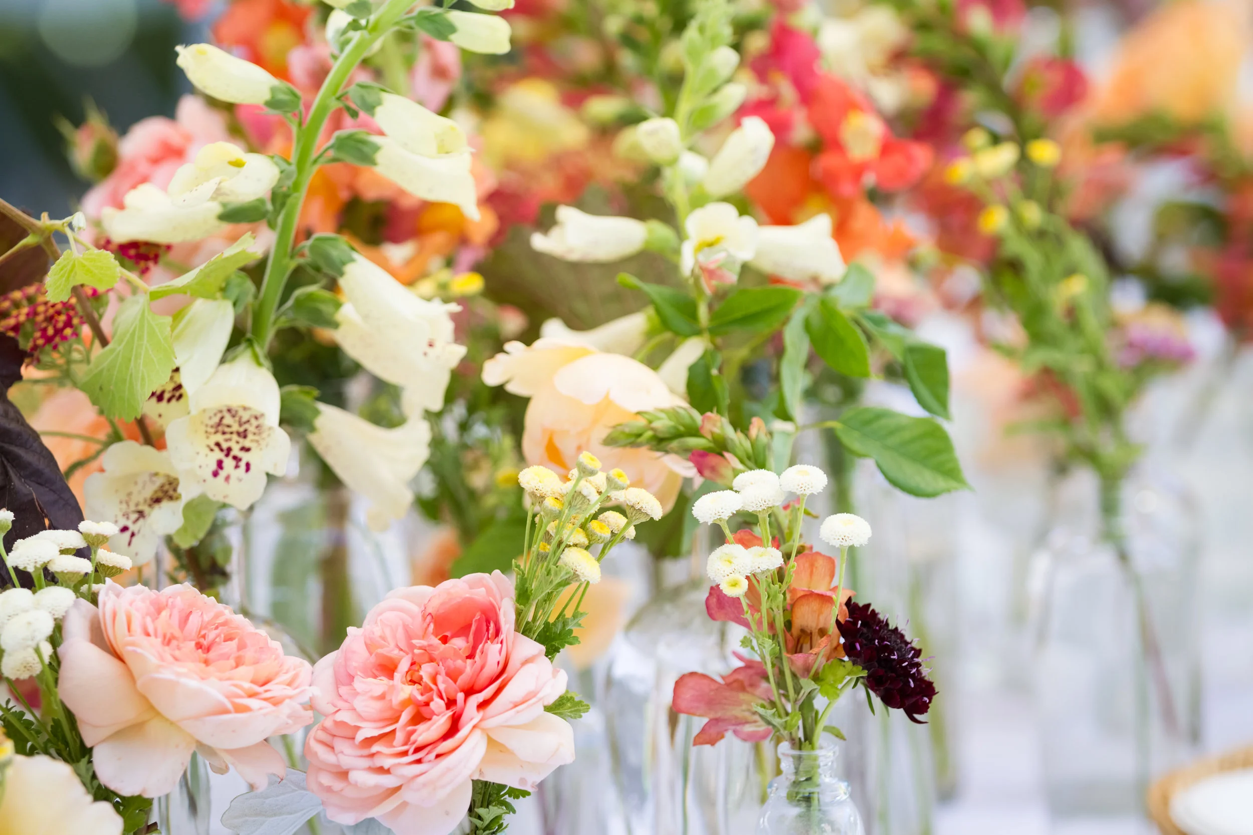 Wedding-652.jpg