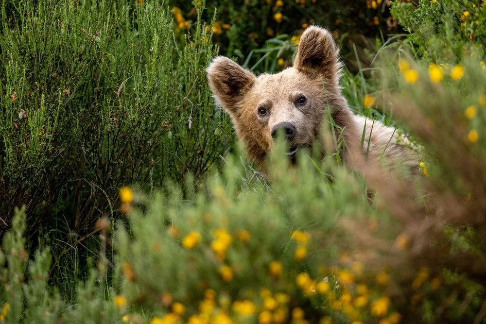 Darmstadt | Weitsichtfestival