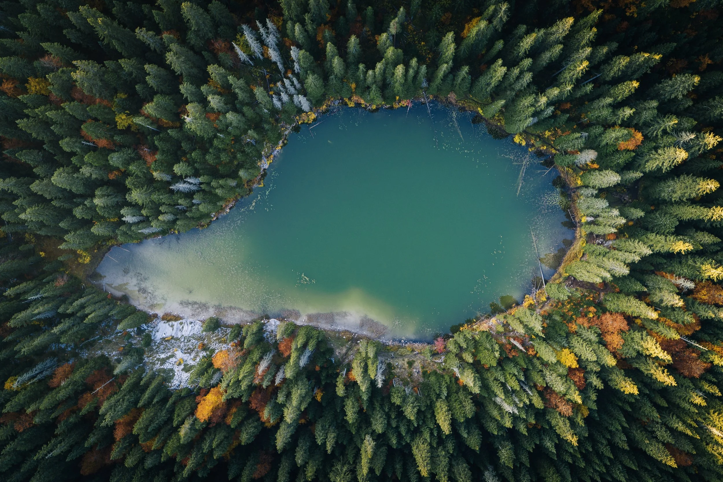 Nationalparkzentrum Ruhestein | Ausstellung