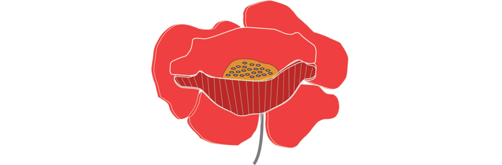 op-poppy-long.png