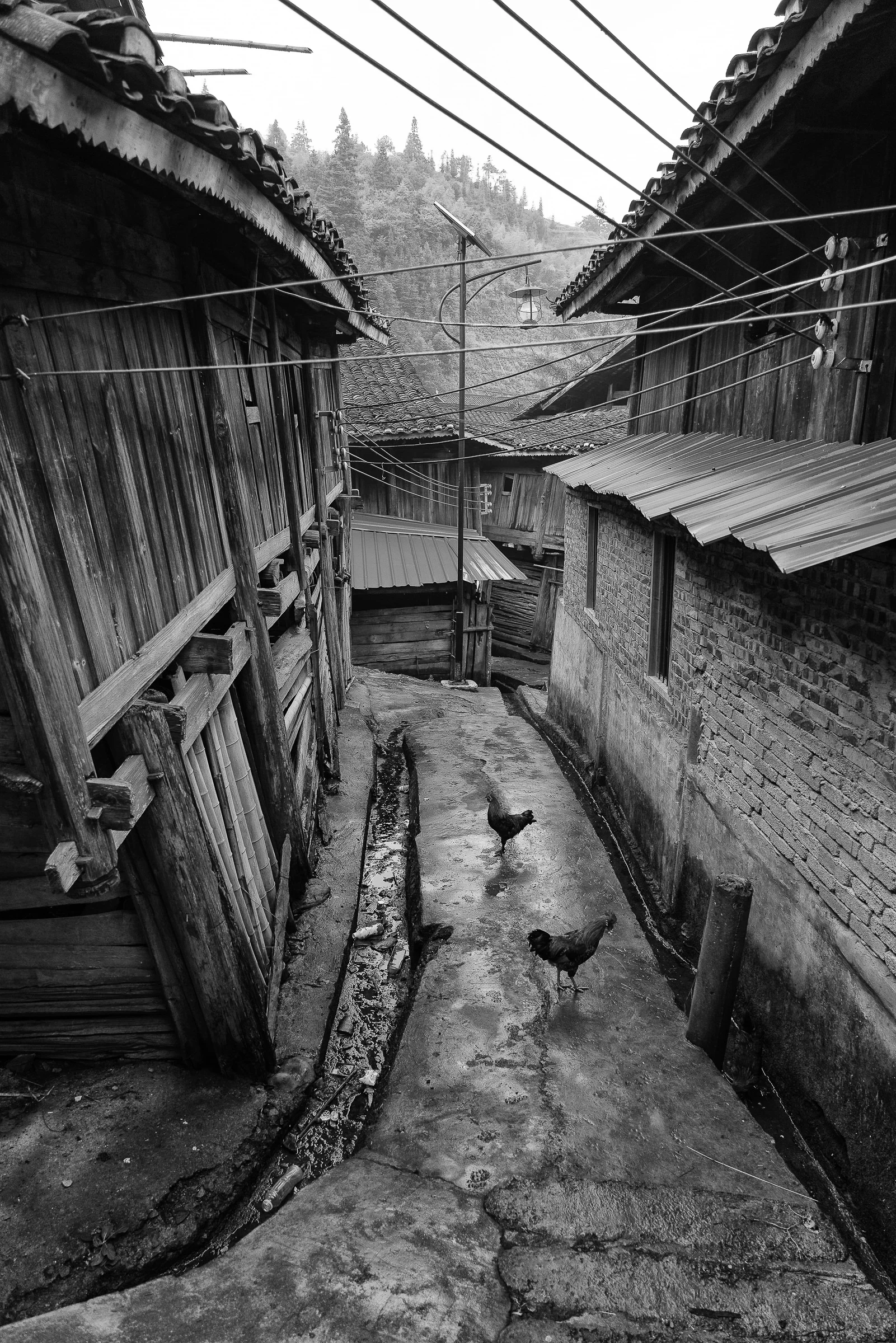 Andy Katz - China-23.jpg