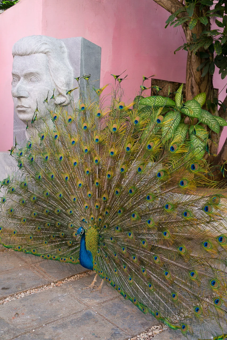 Andy Katz - Cuba-6.jpg