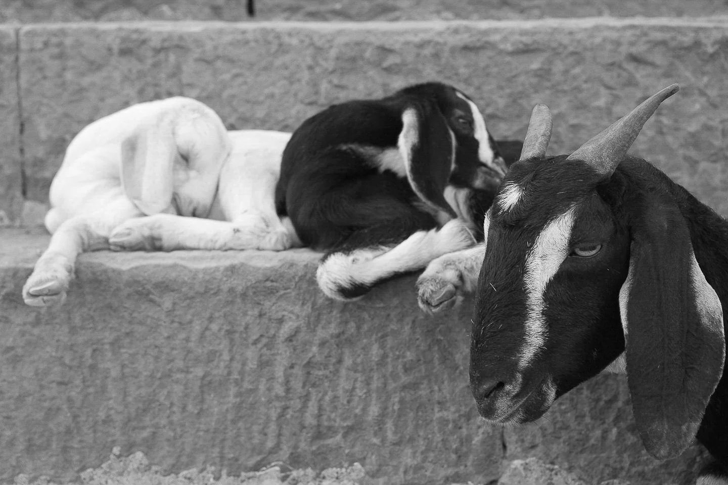 Andy Katz - India Places-4.jpg