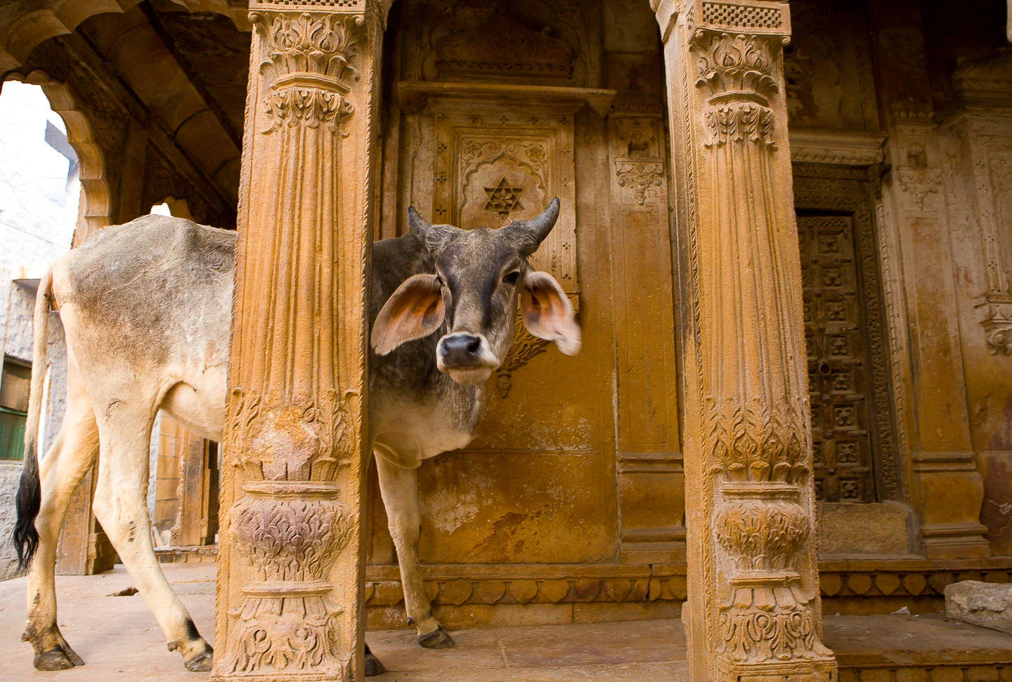 Andy Katz - India Places-27.jpg