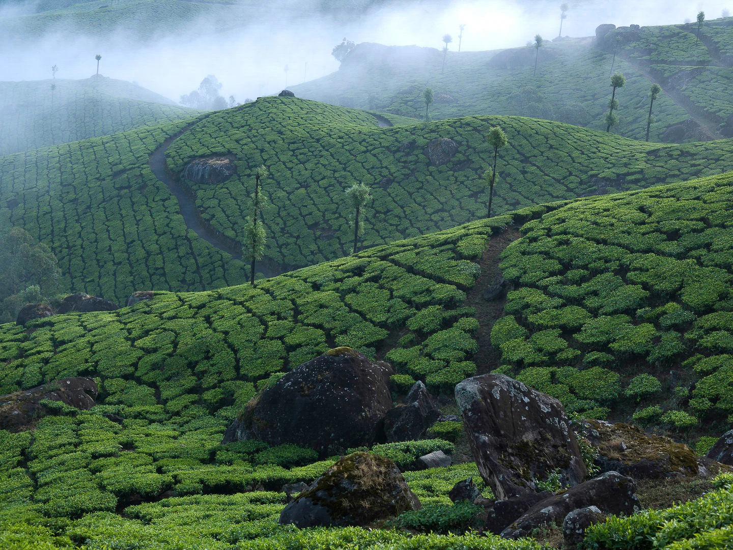 Andy Katz - India Places-76.jpg