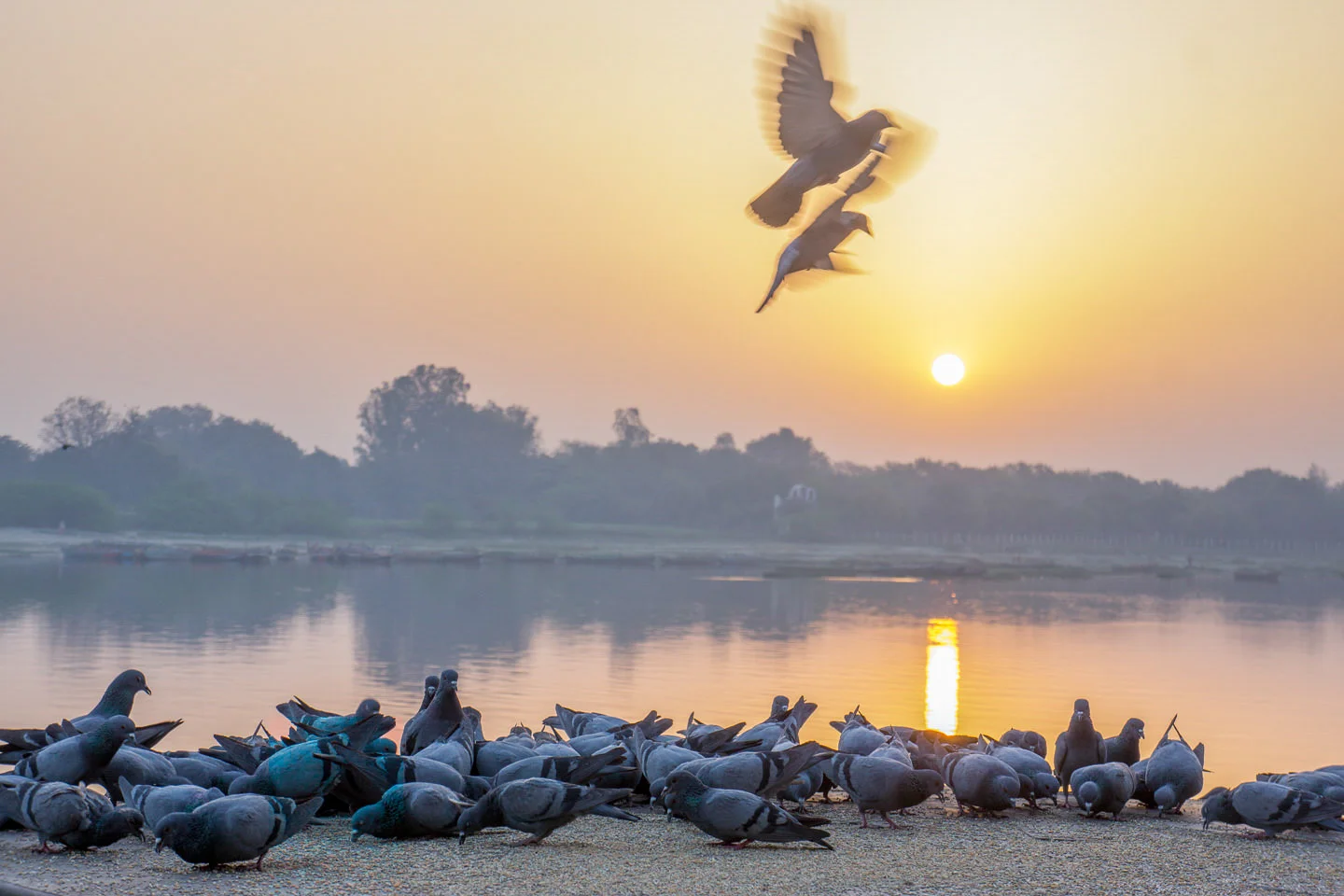 Andy Katz - India Places-122.jpg