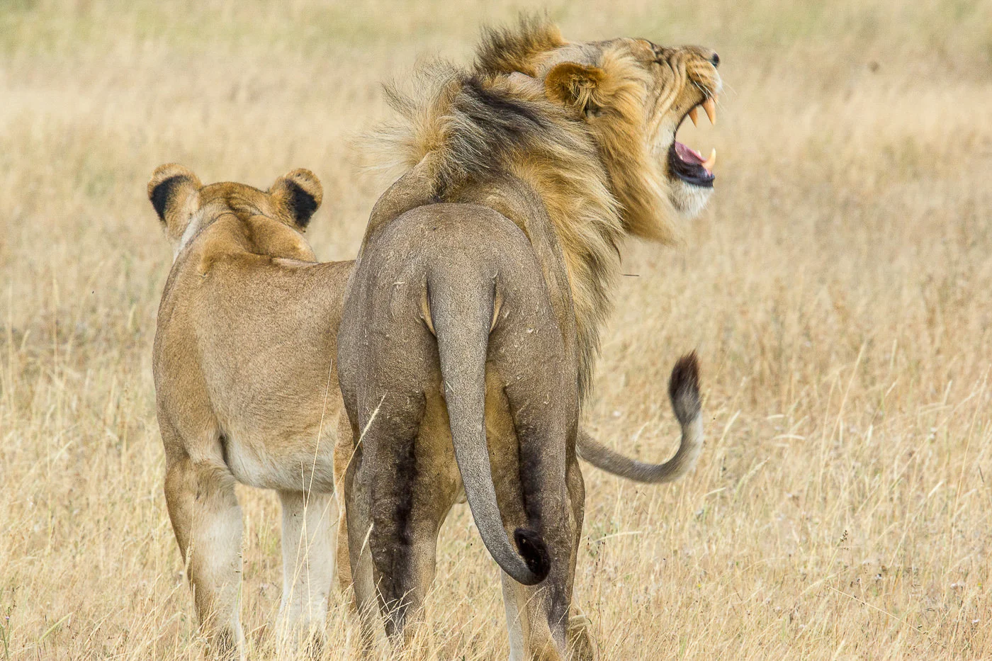 Andy Katz - Namibia-11.jpg