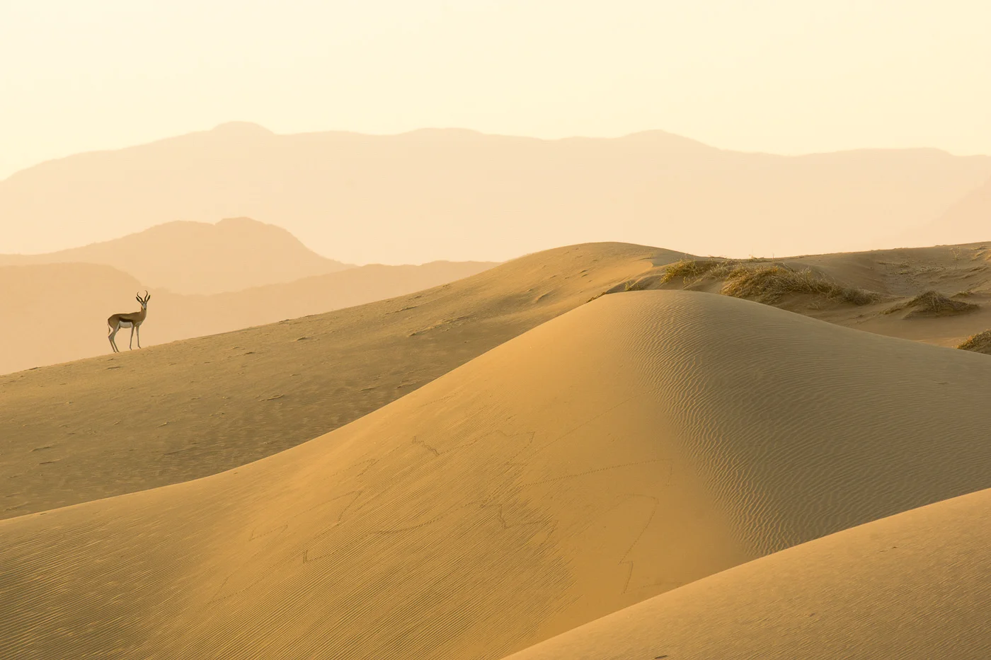 Andy Katz - Namibia-30.jpg