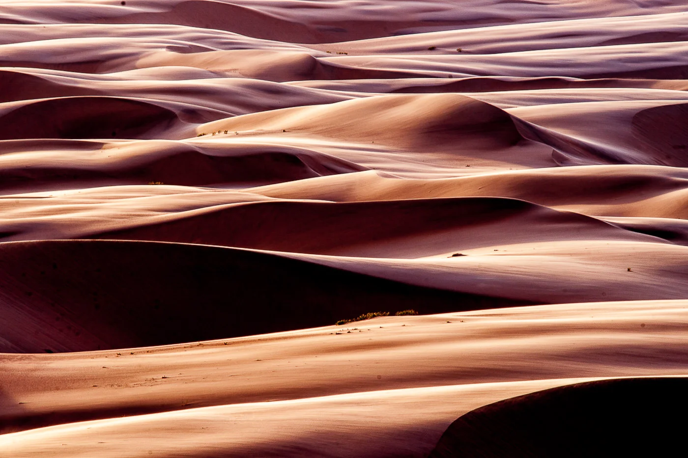 Andy Katz - Namibia-38.jpg