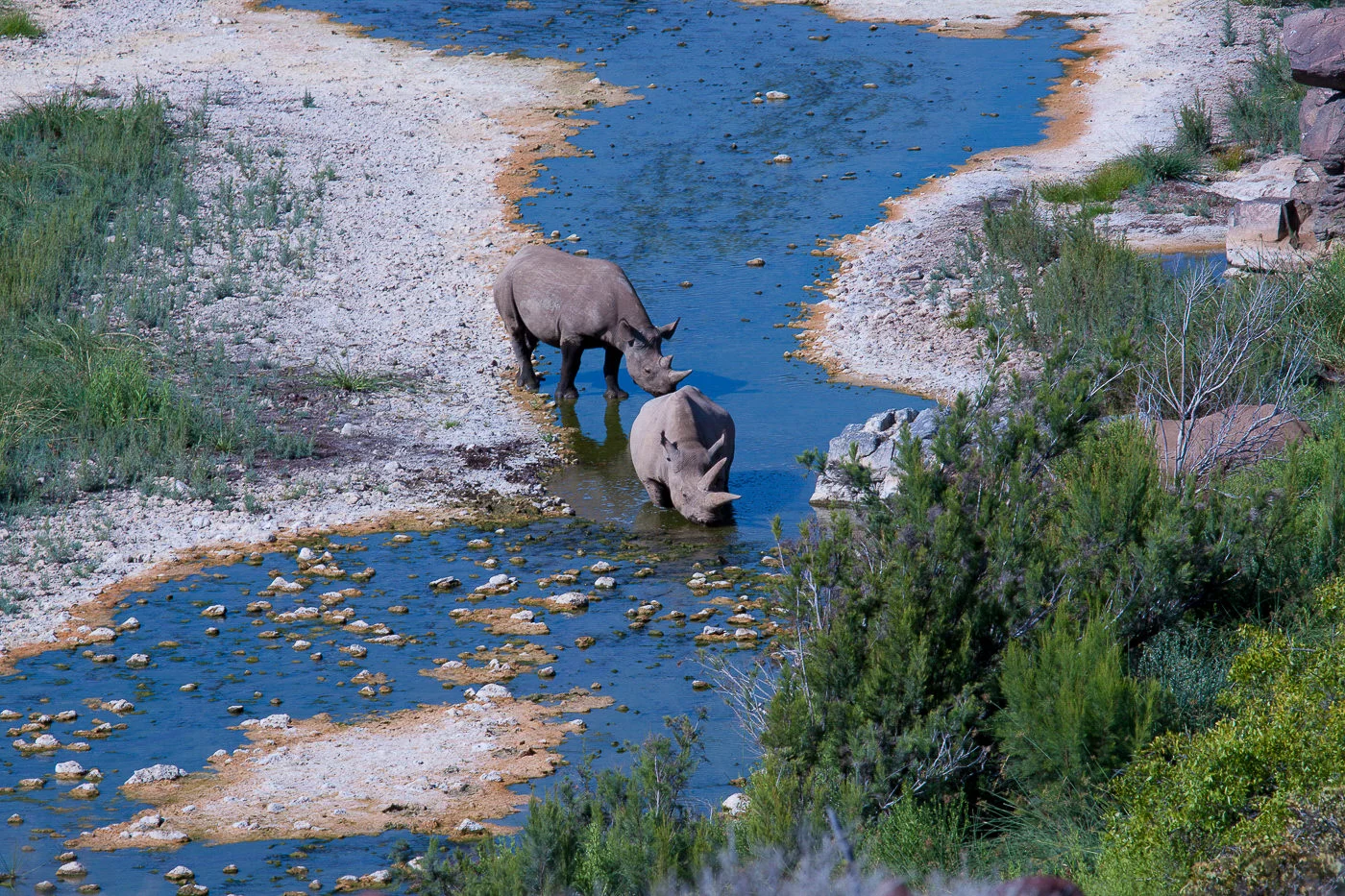 Andy Katz - Namibia-42.jpg
