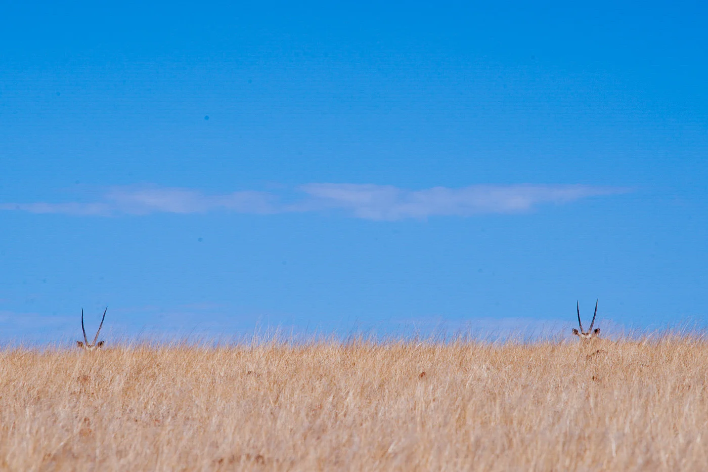 Andy Katz - Namibia-45.jpg