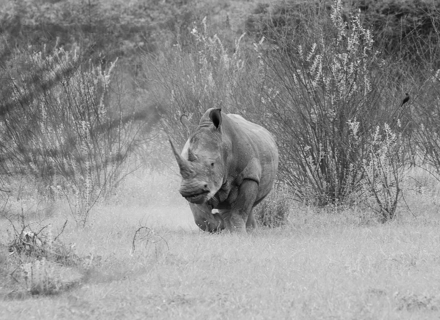Andy Katz - Namibia-48.jpg