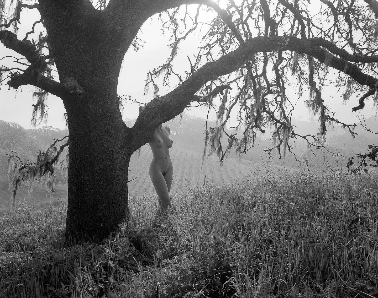 Andy Katz - Nudes-11.jpg
