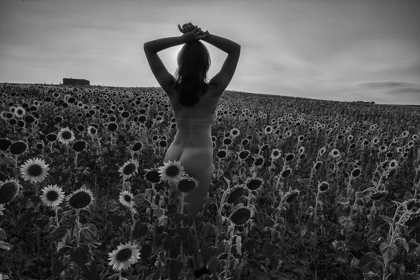 Andy Katz - Nudes-24.jpg