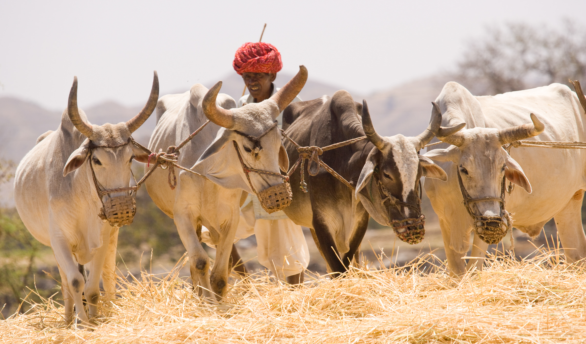 Andy Katz - Faces of India-115.jpg