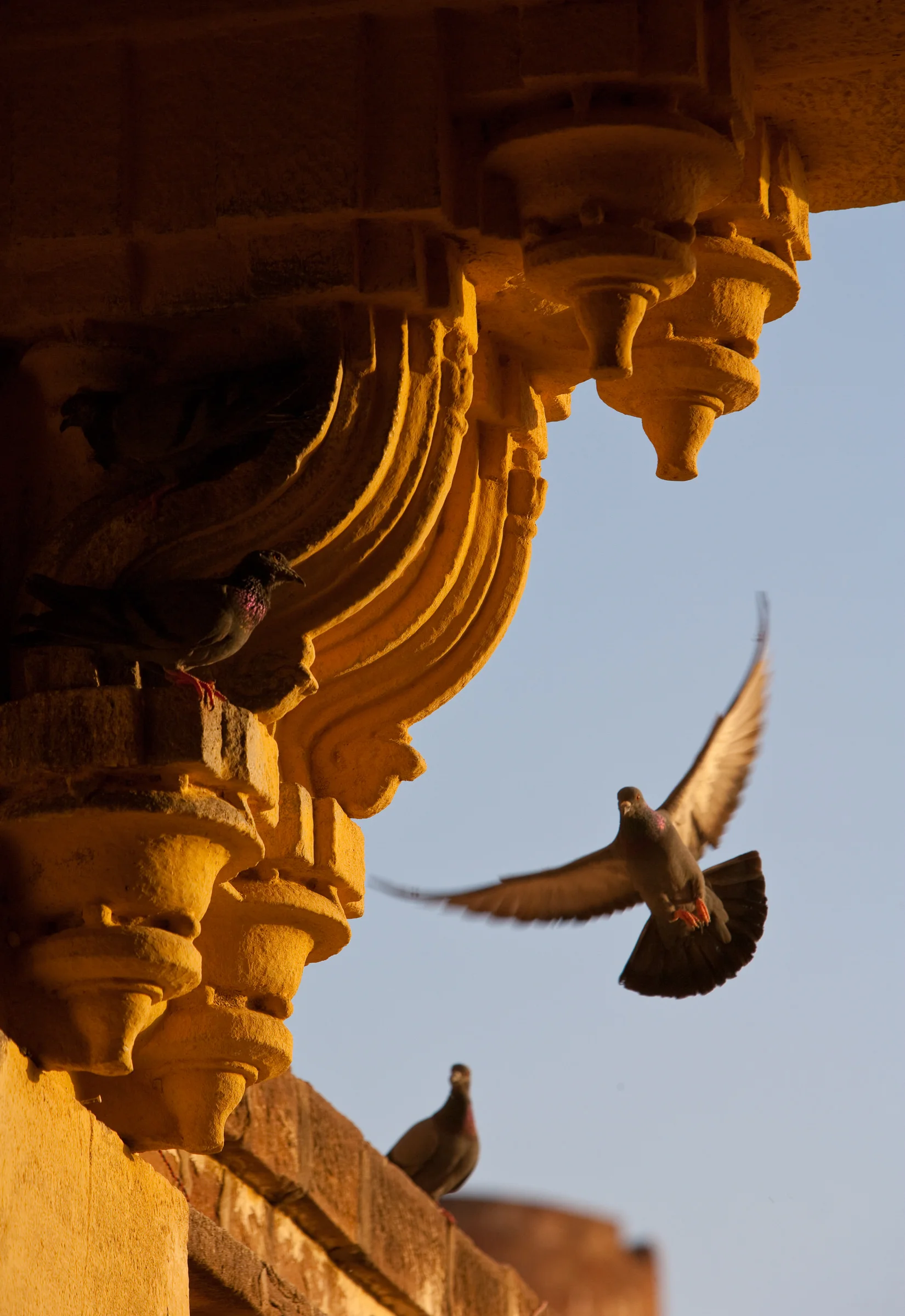 Andy Katz - India Places-126.jpg