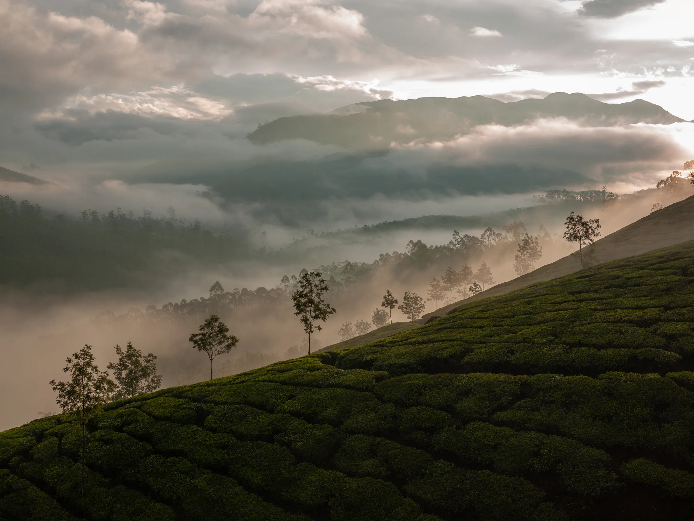 Andy Katz - India Places-158.jpg