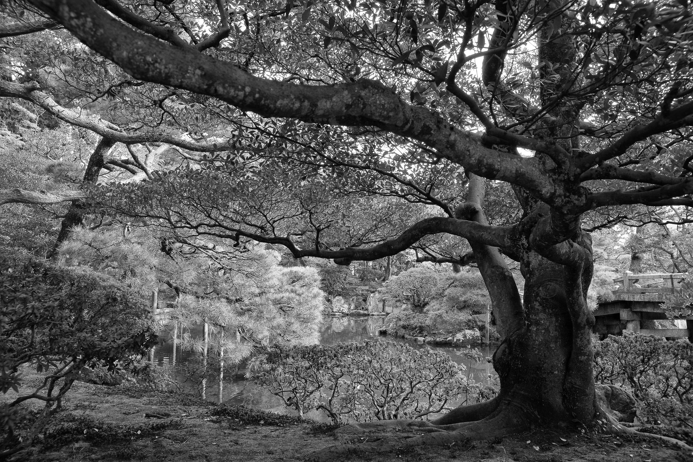 Andy Katz - Japan-3.jpg