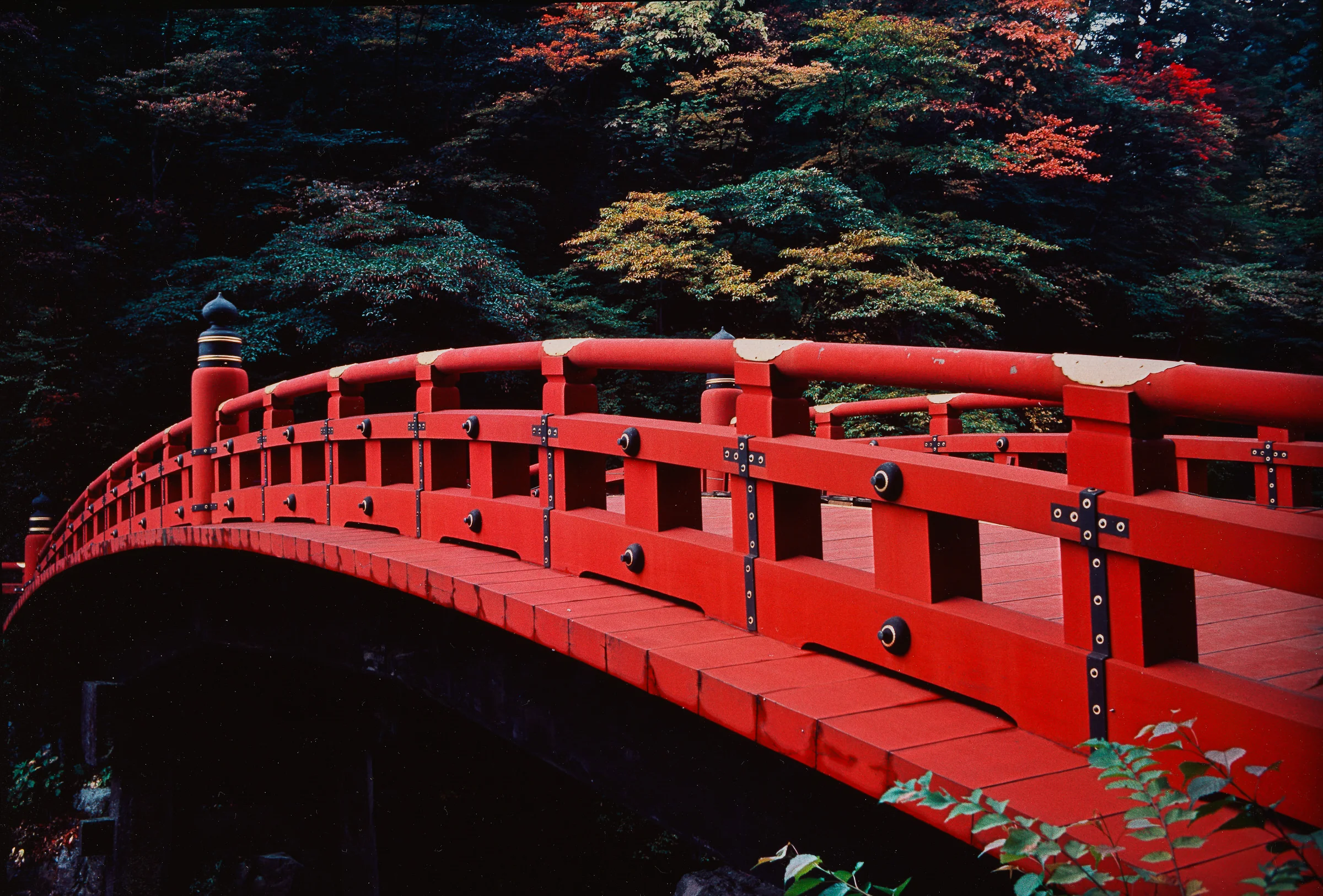 Andy Katz - Japan-12.jpg