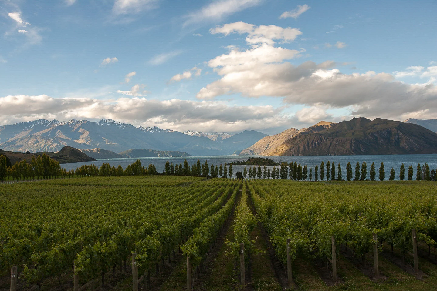 Andy Katz - New Zealand-28.jpg