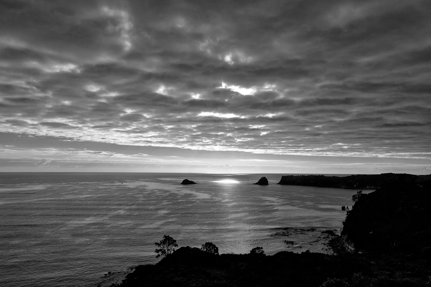 Andy Katz - New Zealand-34.jpg
