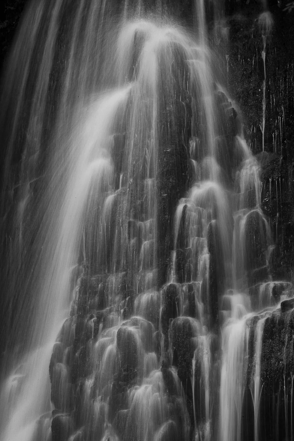 Andy Katz - New Zealand-56.jpg