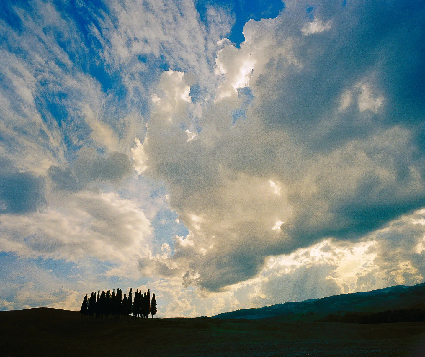 Andy Katz - Tuscany-23.jpg
