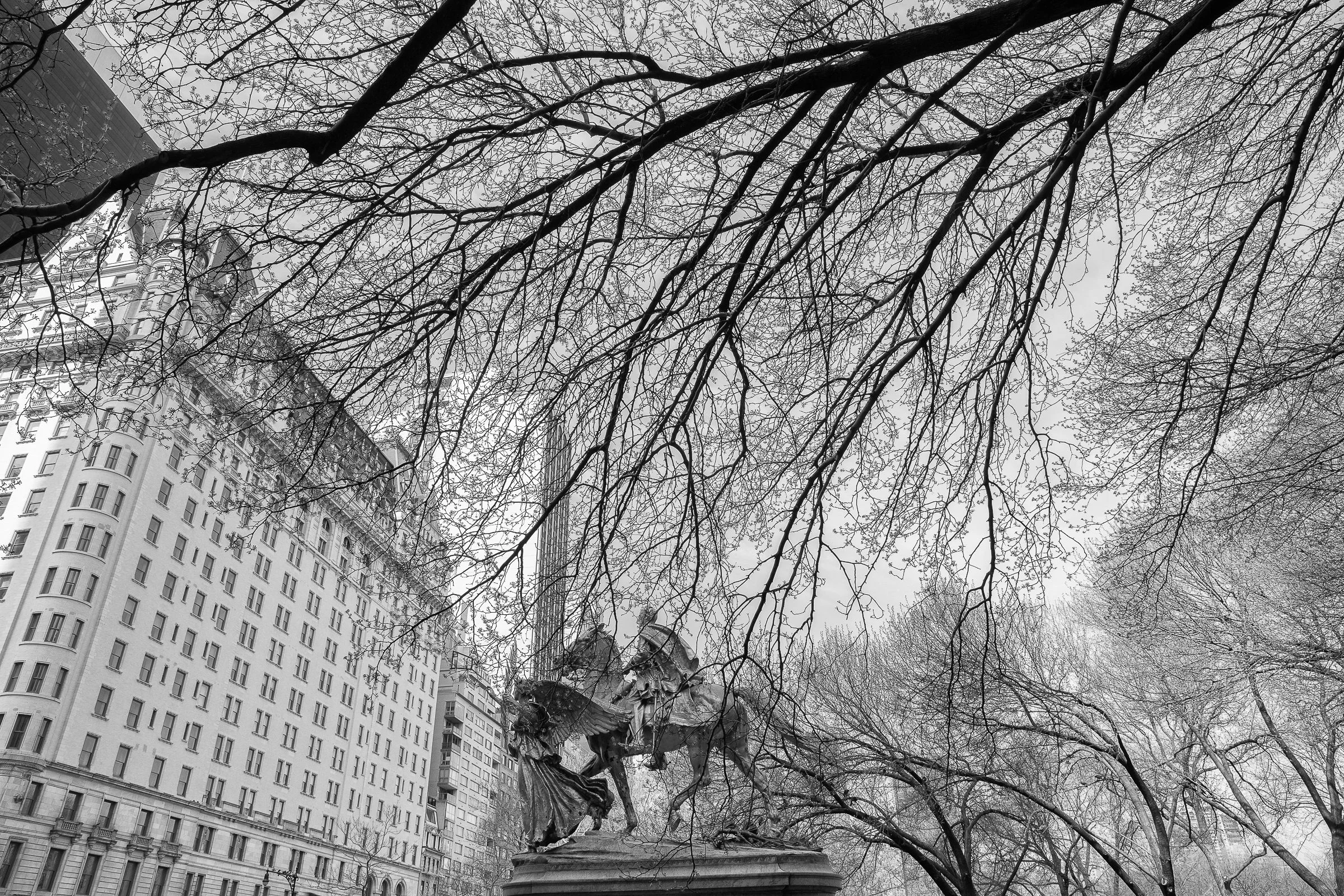 Andy Katz - New York-4.jpg