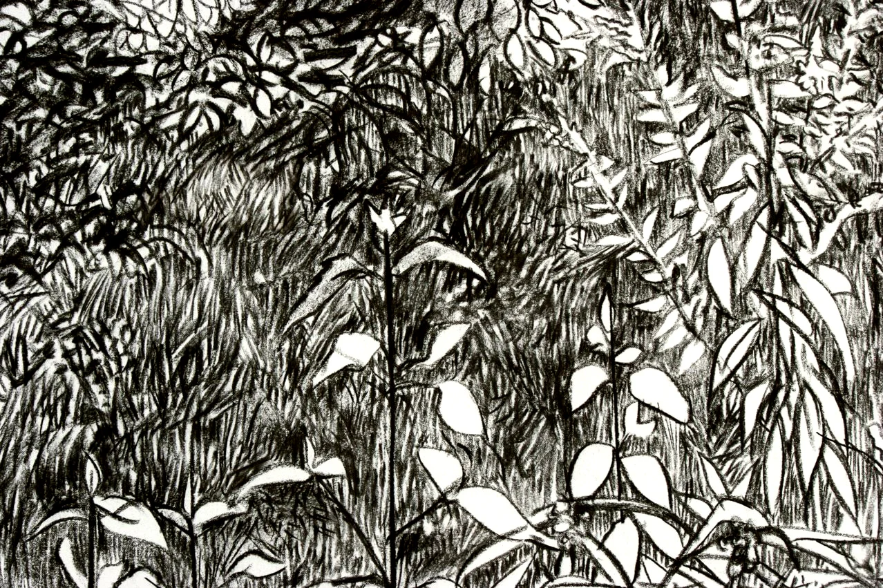 detail