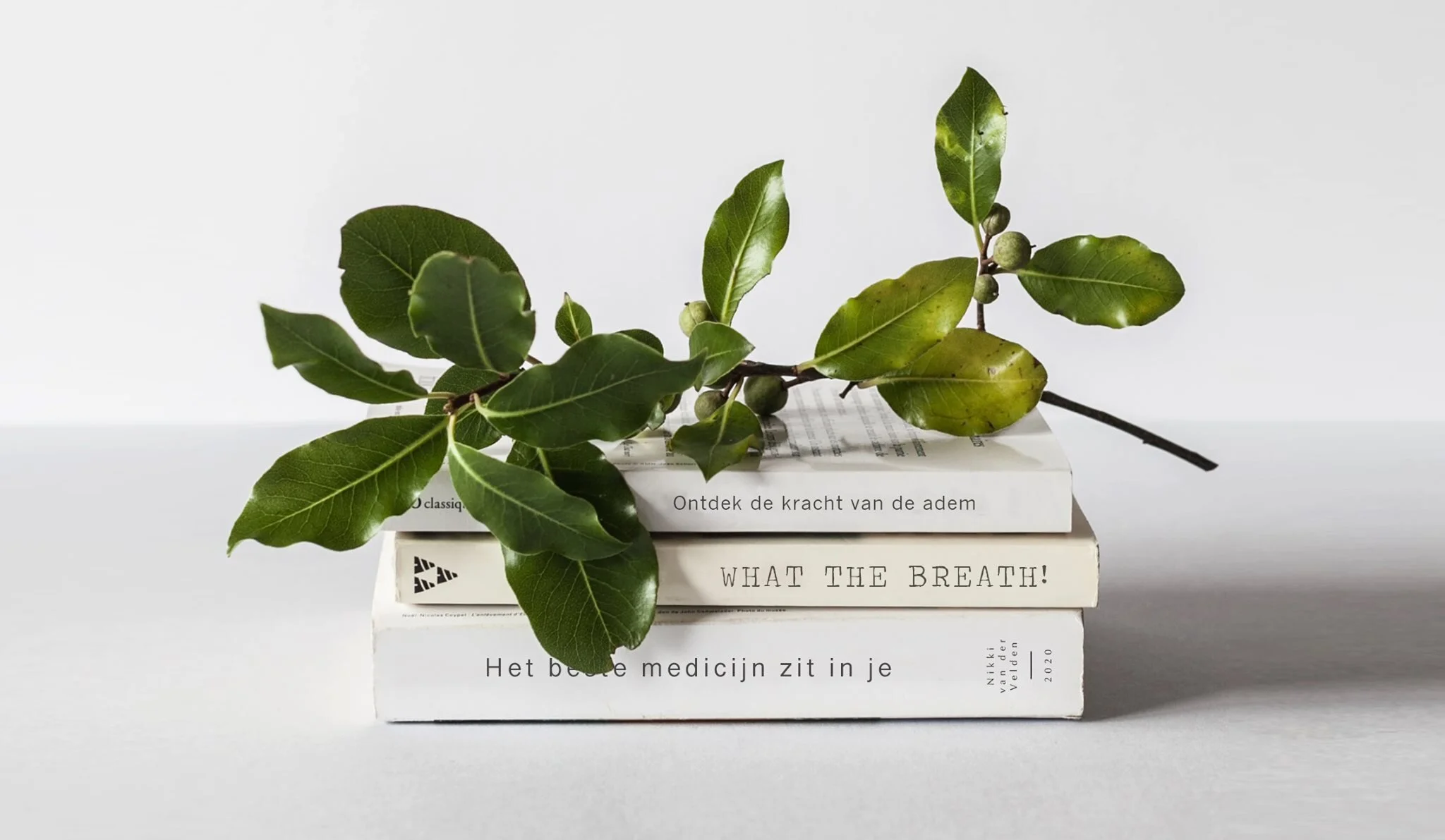 Interview The Breathworkmovement