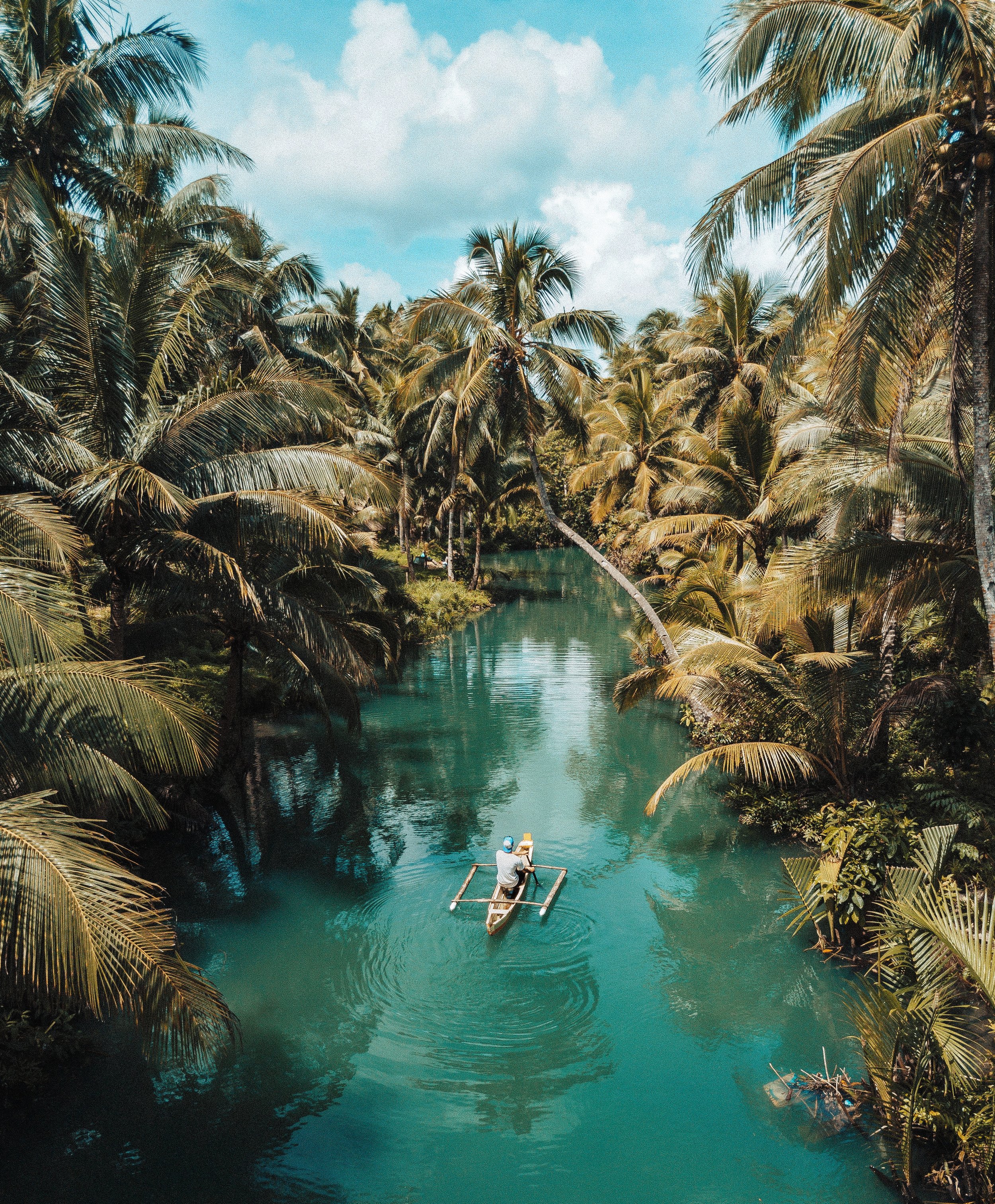 rolands-varsbergs-miKmVyq3qhE-unsplash.jpg